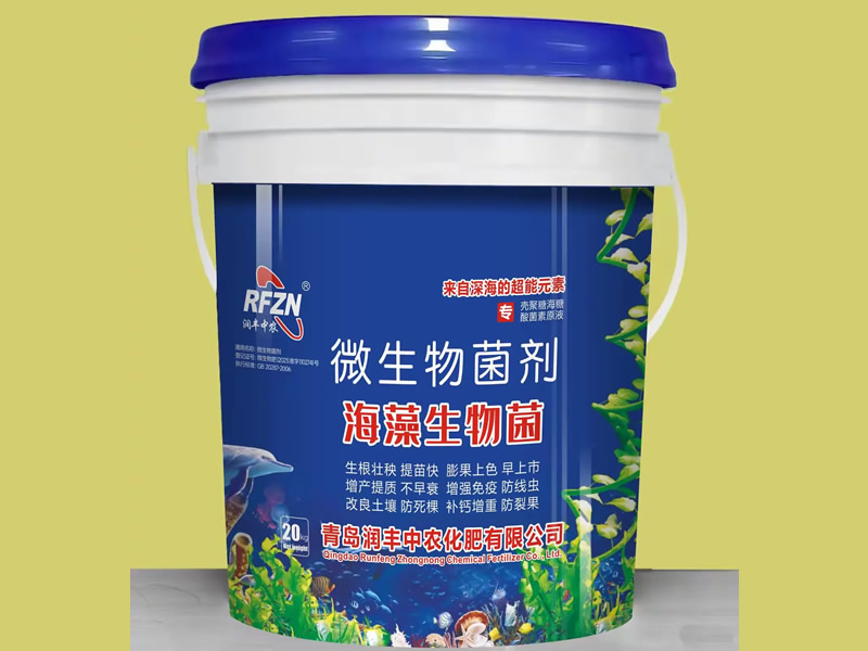 海藻生物菌